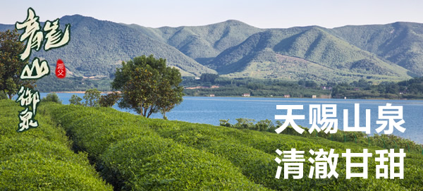 山泉水、江河湖水、雪水、纯净水和自来水哪种最适合泡茶？
